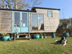 Secluded Shepherds Hut, with a view and hot tub